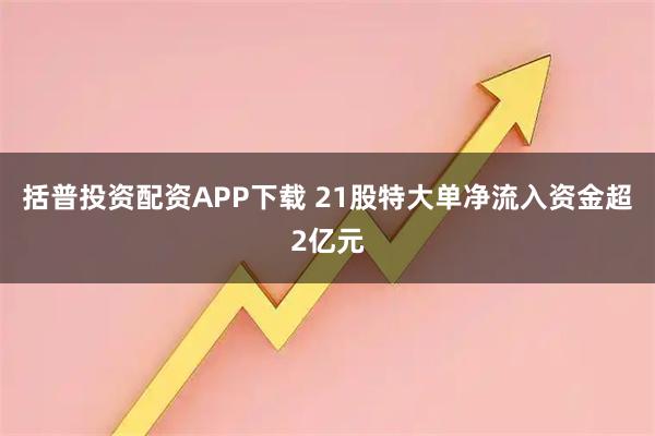 括普投资配资APP下载 21股特大单净流入资金超2亿元