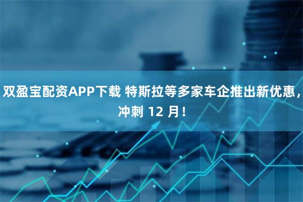 双盈宝配资APP下载 特斯拉等多家车企推出新优惠，冲刺 12 月！