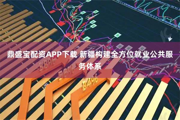 鼎盛宝配资APP下载 新疆构建全方位就业公共服务体系