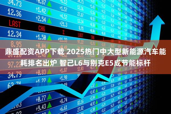 鼎盛配资APP下载 2025热门中大型新能源汽车能耗排名出炉 智己L6与别克E5成节能标杆