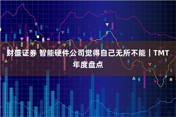 财盛证券 智能硬件公司觉得自己无所不能｜TMT年度盘点