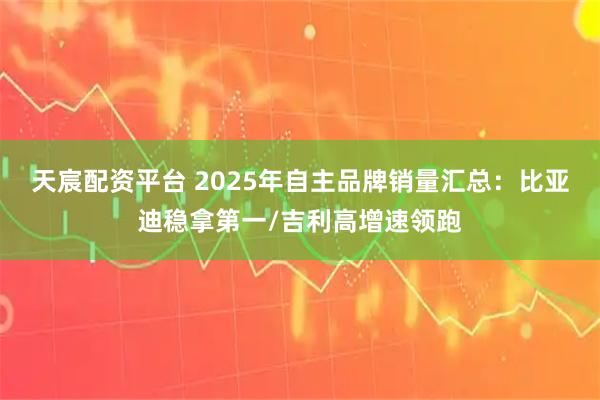 天宸配资平台 2025年自主品牌销量汇总：比亚迪稳拿第一/吉利高增速领跑