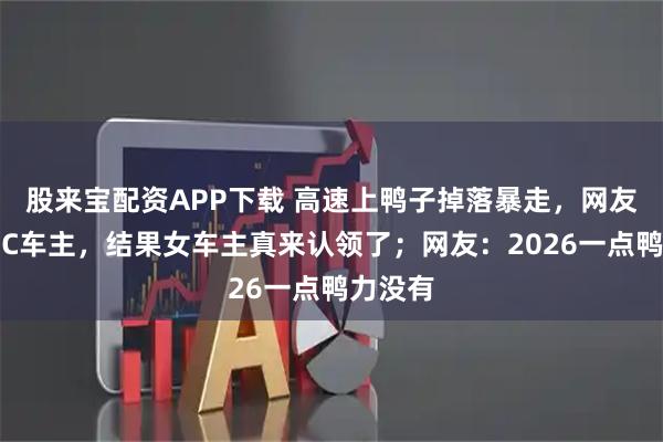 股来宝配资APP下载 高速上鸭子掉落暴走，网友喊话粤C车主，结果女车主真来认领了；网友：2026一点鸭力没有